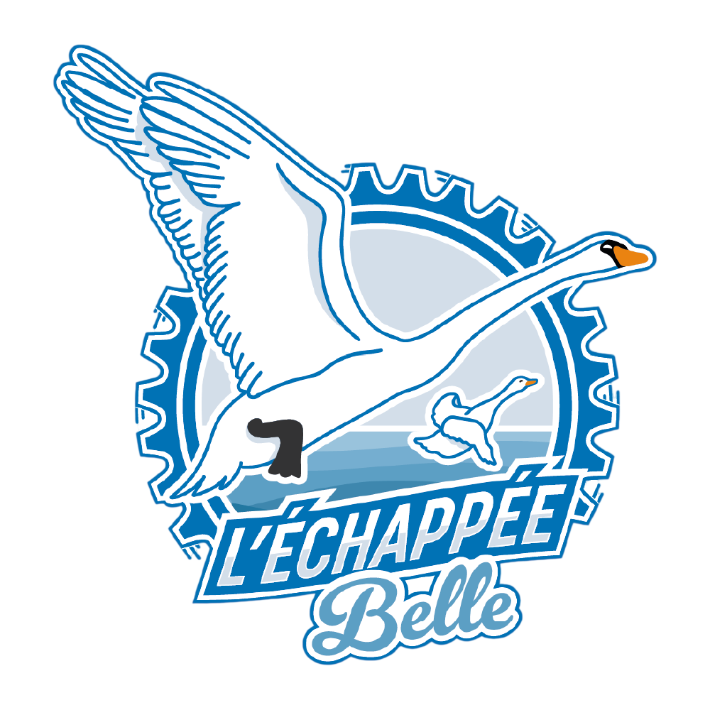 APRÈS : Logo final