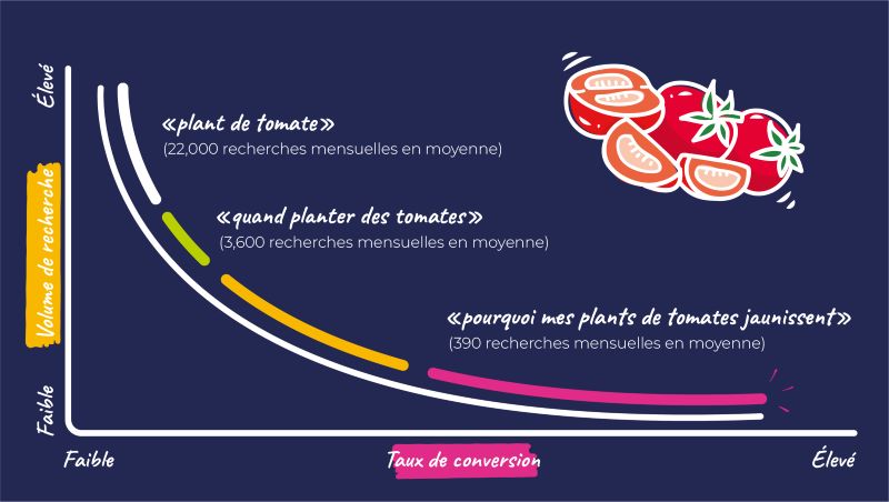 Concept de la longue traine SEO